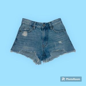 Pacsun High Rise Festival Shorts